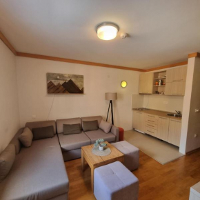 Apartment U345 - Aparthotel Vučko Jahorina - private host